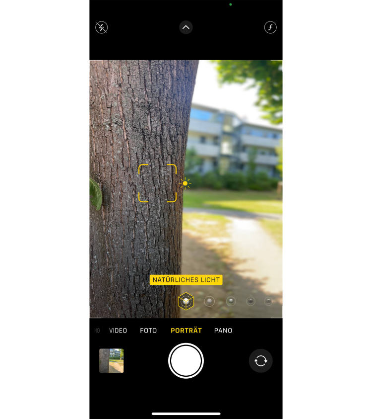 Foto-Tipps: Der Bokeh-Effekt